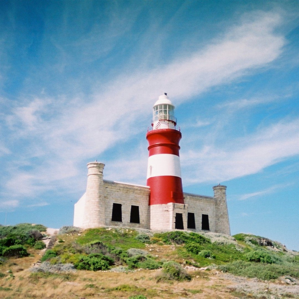 A River Brought Us Here