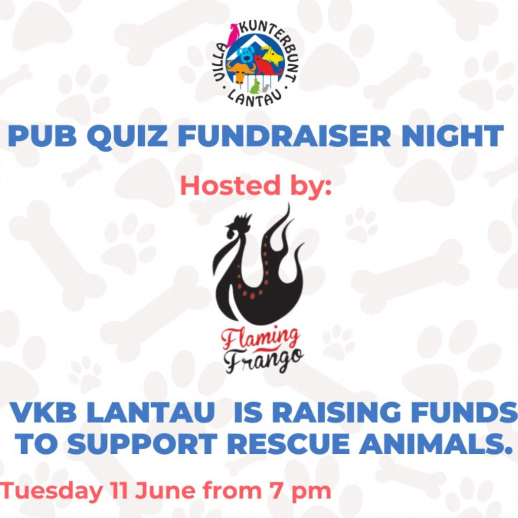 Support VKB's Mission: Pub Quiz Charity Night